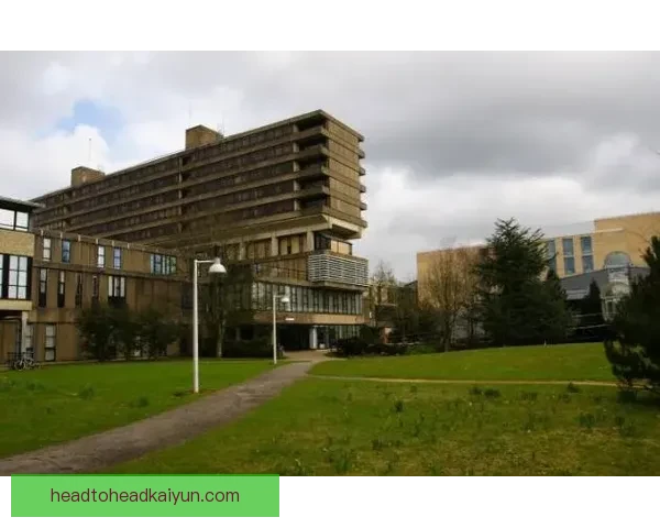 南安普顿球队结构分析：俱乐部提升竞争力的潜在策略与方向