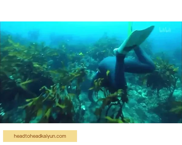 米洛斯·克尔凯兹状态回暖，近期表现值得关注